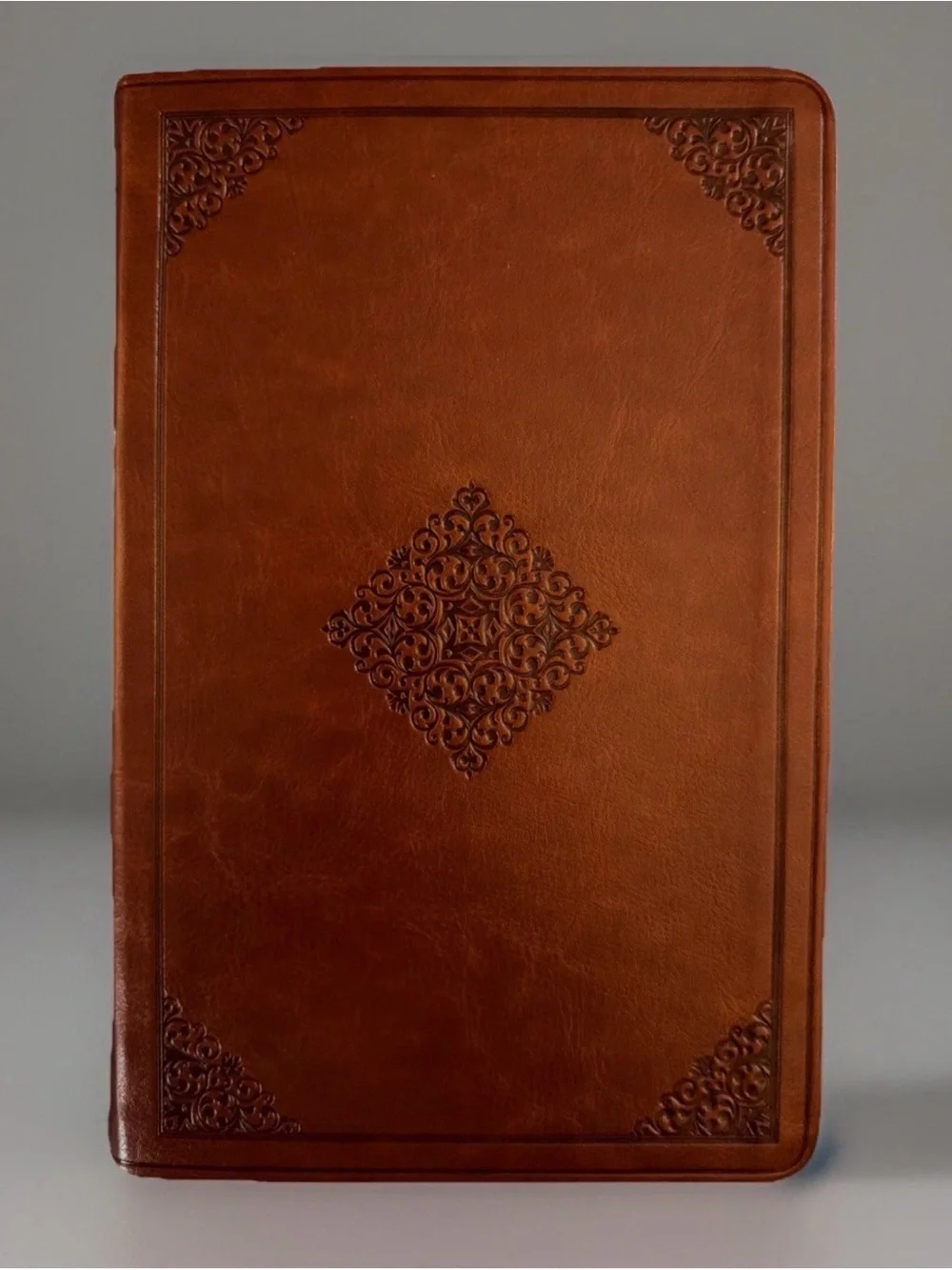 Bible (ESV) English Standard Version Large Print Value Thinline TruTone Tan New.